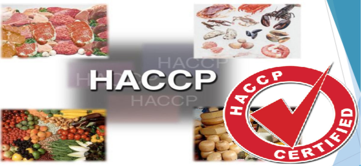 haccp.png